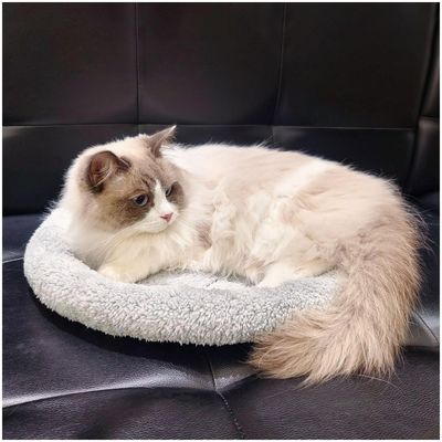 ZooVenture Lit rond pour chats et petits chiens
