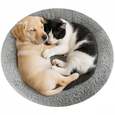 ZooVenture Lit rond pour chats et petits chiens