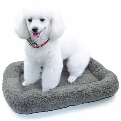 ZooVenture Lit carré pour chats et chiots ZooVenture Lit carré pour chats et chiots