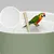 IntiMeg Baignoire pour perroquets