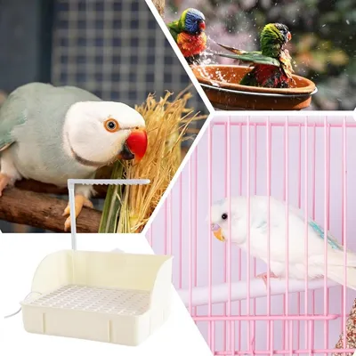 ZooVenture ducha automática para pájaros
