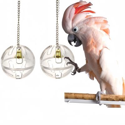 ZooVenture Jouets boules transparentes pour perroquets 2 Pièces