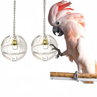 ZooVenture Pelotas de juguete transparentes para loros (2 unidades)
