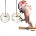 ZooVenture Jouets boules transparentes pour perroquets 2 Pièces