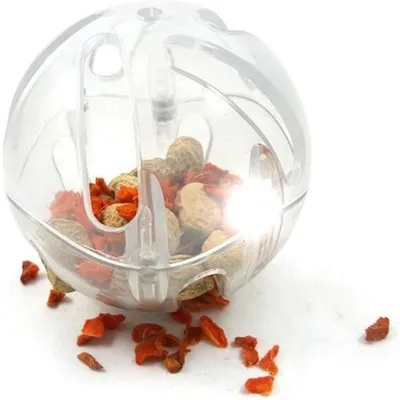 ZooVenture Pelotas de juguete transparentes para loros (2 unidades)