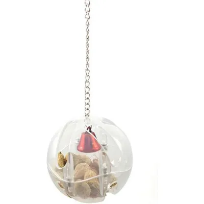 ZooVenture Pelotas de juguete transparentes para loros (2 unidades)