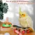 ZooVenture Lot de jouets de formation pour oiseaux