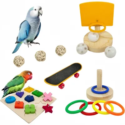 ZooVenture Juego de juguetes de entrenamiento para pájaros