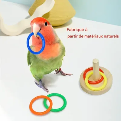 ZooVenture Lot de jouets de formation pour oiseaux