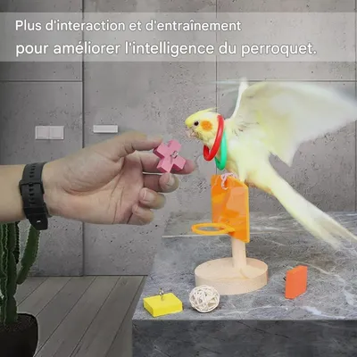 ZooVenture Juego de juguetes de entrenamiento para pájaros