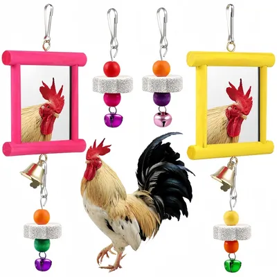 ZooVenture Lot de 4 jouets avec miroirs et clochettes pour Oiseaux ZooVenture Lot de 4 jouets avec miroirs et clochettes pour Oiseaux