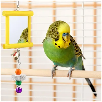 ZooVenture Conjunto de 4 juguetes con espejos y cascabeles para pájaros
