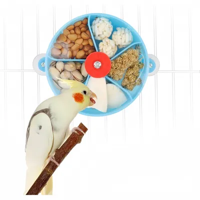ZooVenture Jouet rotatif de recherche de nourriture pour oiseaux ZooVenture Jouet rotatif de recherche de nourriture pour oiseaux