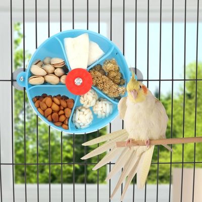 ZooVenture Jouet rotatif de recherche de nourriture pour oiseaux