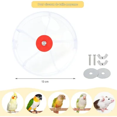 ZooVenture Jouet rotatif de recherche de nourriture pour oiseaux