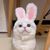 ZooVenture Costume pour chats et chiens