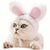 ZooVenture Costume pour chats et chiens