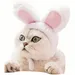 ZooVenture Costume pour chats et chiens