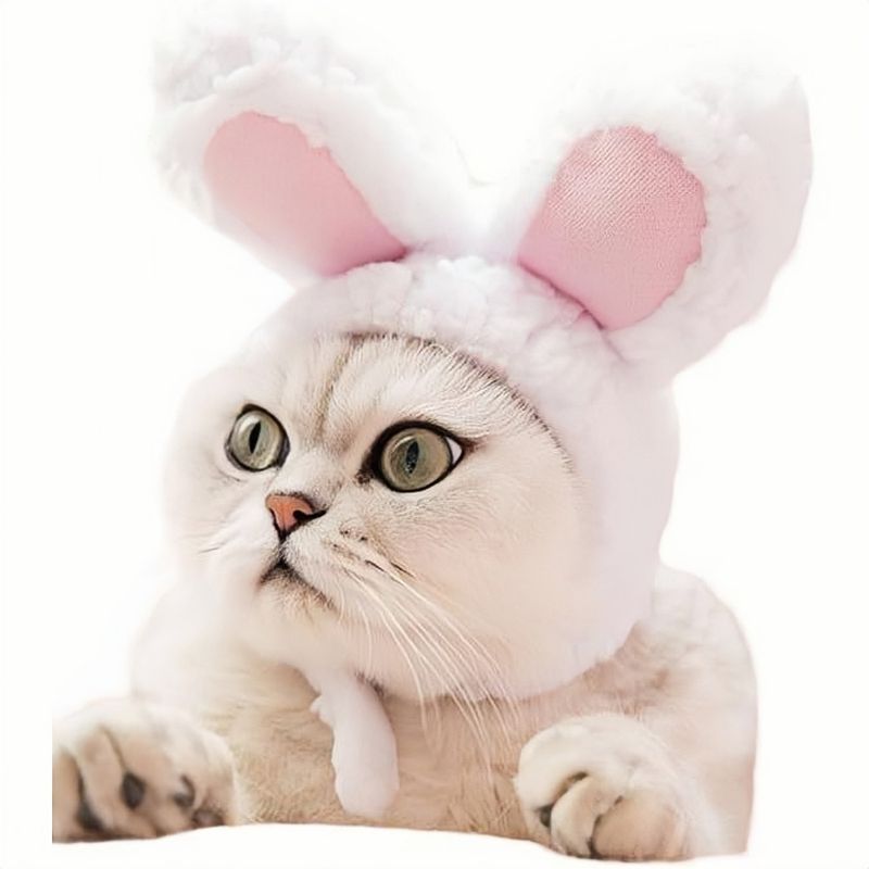 ZooVenture Costume pour chats et chiens