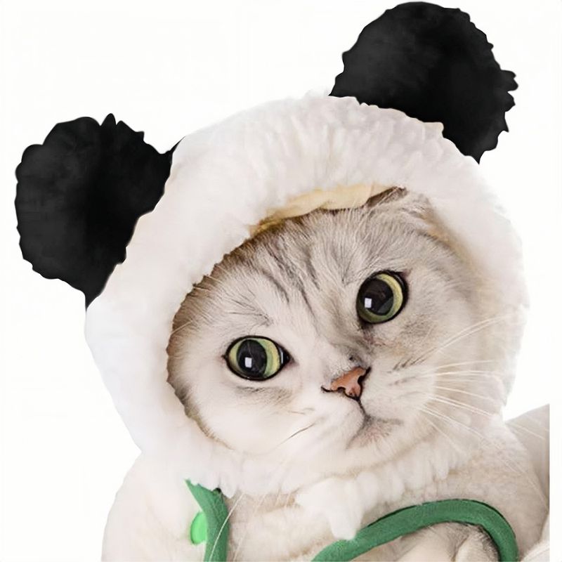 ZooVenture Costume pour chats et chiens