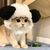 ZooVenture Costume pour chats et chiens