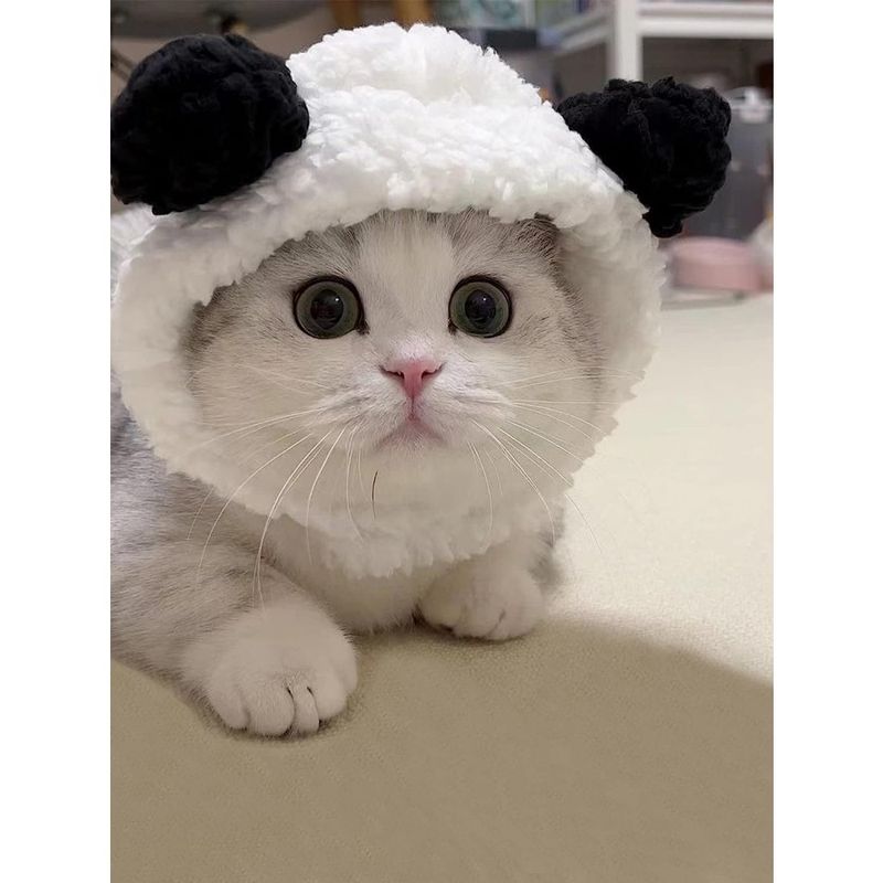 ZooVenture Costume pour chats et chiens
