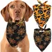 ZooVenture Bandanas d'Halloween pour chiens