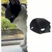 ZooVenture Katzen- und Welpenmaske