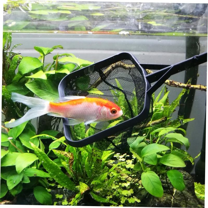 ZooVenture Filets de pêche en nylon pour aquarium