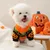 IntiMeg Halloween-Pullover für Welpen IntiMeg Halloween-Pullover für Welpen