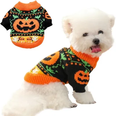 IntiMeg Halloween-Pullover für Welpen IntiMeg Halloween-Pullover für Welpen