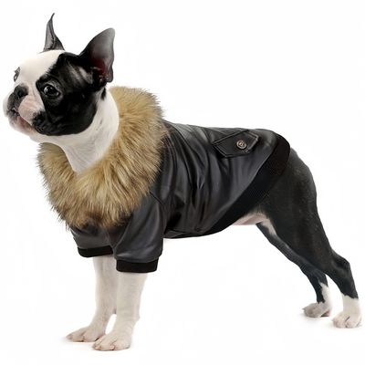 ZooVenture Manteau en cuir pour chiens