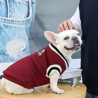 FurryFusion Warmer Winterpullover für Hunde FurryFusion Warmer Winterpullover für Hunde