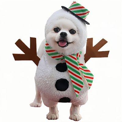 IntiMeg Costume de Noël pour animal de compagnie