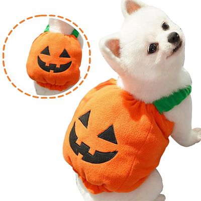 IntiMeg Costume de citrouille pour chien