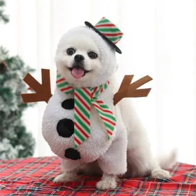 IntiMeg Weihnachtskostüm für Haustiere