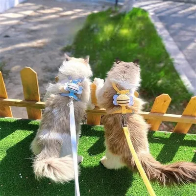 IntiMeg Abeille corde de traction  pour chat