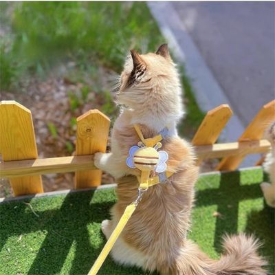 IntiMeg Cuerda para gatos abeja
