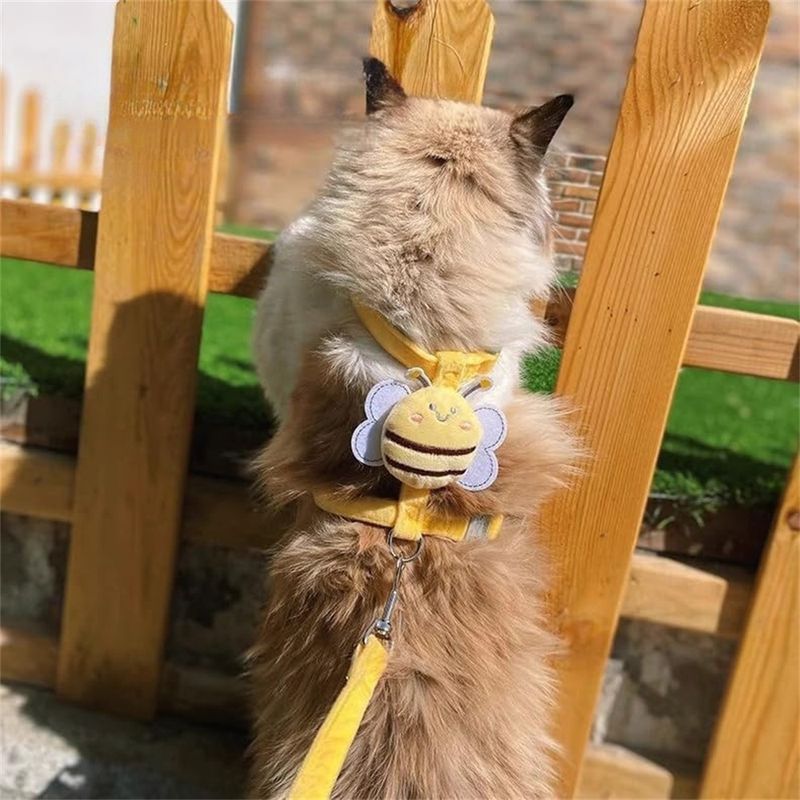 IntiMeg Abeille corde de traction  pour chat