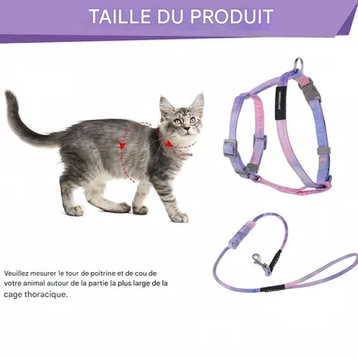 FurryFusion Harnachement et laisse pour chat