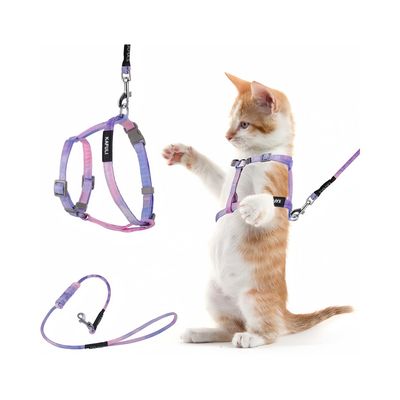 FurryFusion Harnachement et laisse pour chat