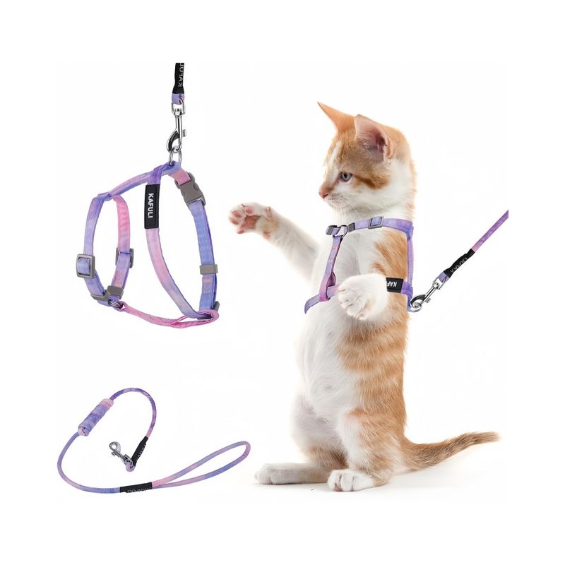 FurryFusion Harnachement et laisse pour chat