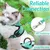 FurryFusion Harnais et laisse réfléchissants pour chat