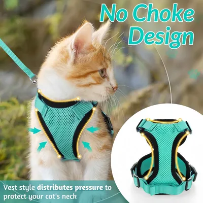 FurryFusion Harnais et laisse réfléchissants pour chat