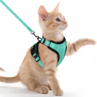 FurryFusion Harnais et laisse réfléchissants pour chat