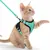 FurryFusion Harnais et laisse réfléchissants pour chat FurryFusion Harnais et laisse réfléchissants pour chat