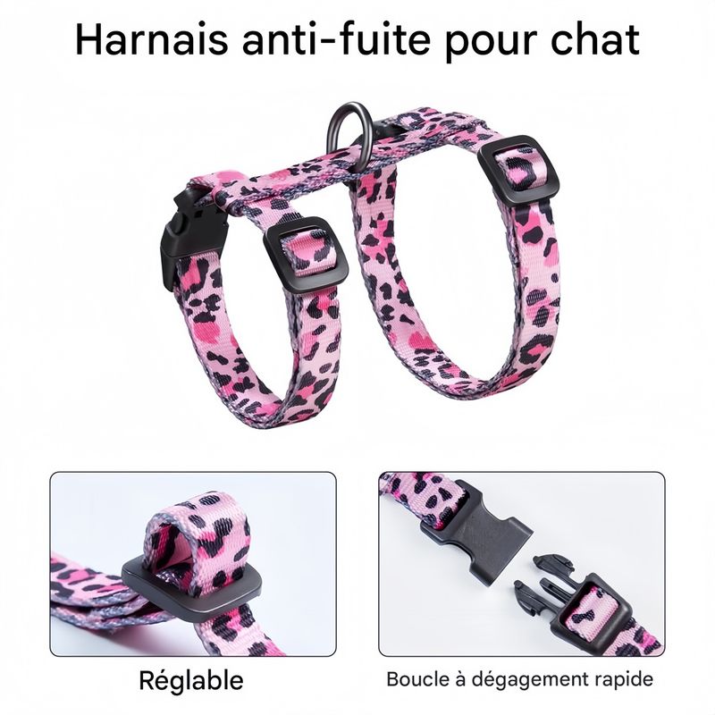 IntiMeg Ensemble harnais et corde pour chats