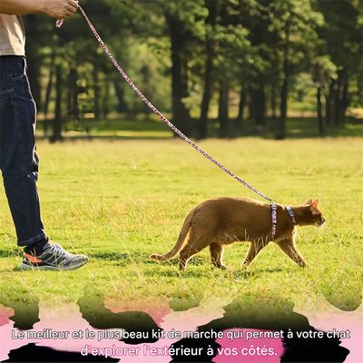 IntiMeg Arnés y cuerda para gatos