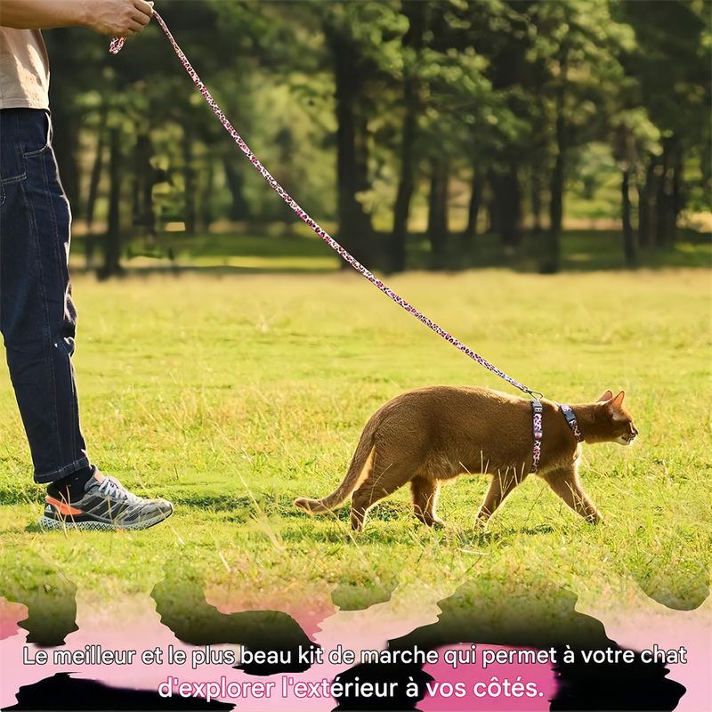 IntiMeg Ensemble harnais et corde pour chats