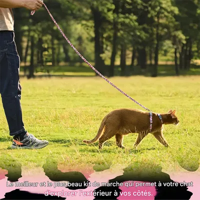 IntiMeg Ensemble harnais et corde pour chats IntiMeg Ensemble harnais et corde pour chats